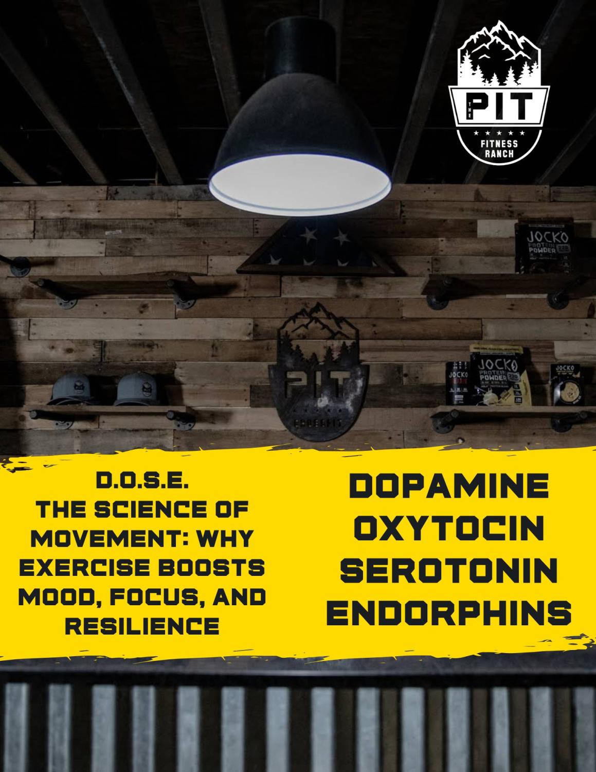 Dopamine Oxytosin Serotonin Endorphins (1) Exercise and Mood